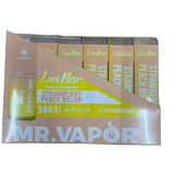 MR.VAPOR Lux Bar 5% Nicotine 5000 PUFS Mesh Coil Rechargeable